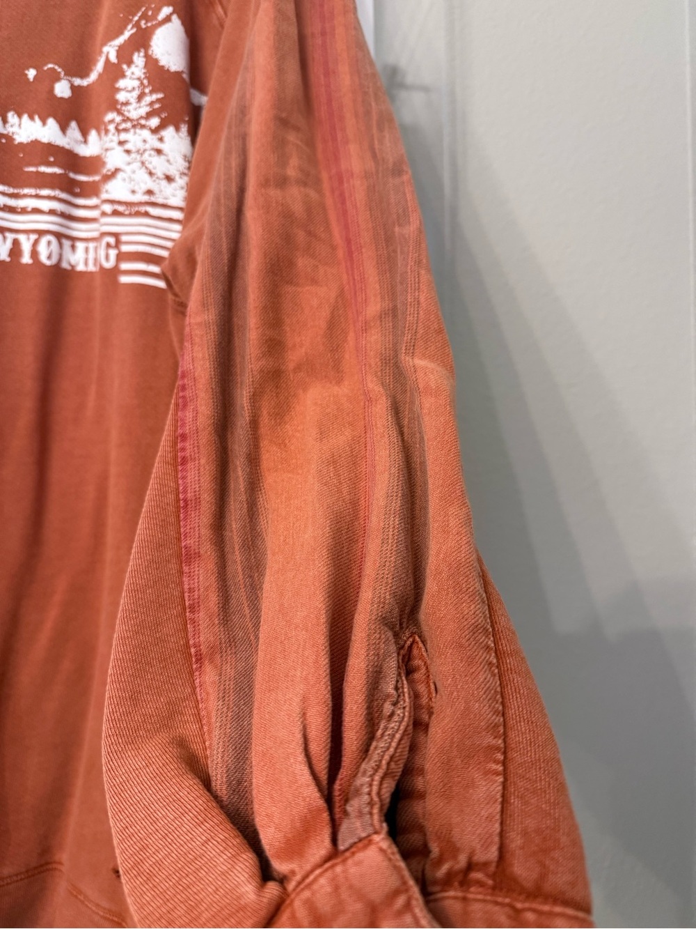 Free Peopke Jackson Wyoming Rust Graphic Long Sleeve sweatshirt - Picture 4 of 6